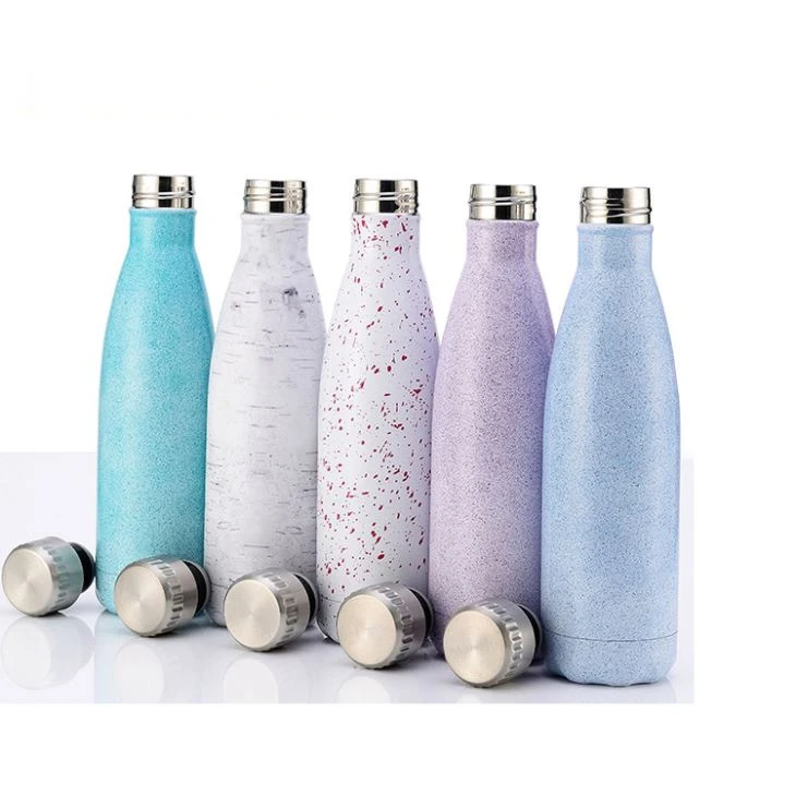 Stainless Steel Vacuum Insulation Thermos Flask