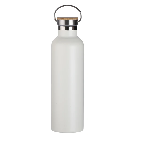 Vacuum Insulated Stainless Steel Water Cup